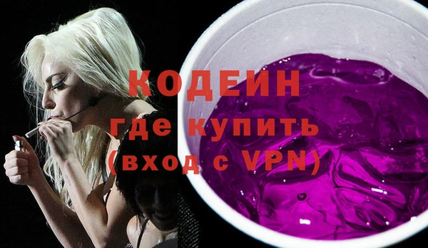 хмурый Гусь-Хрустальный