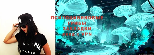 эйфоретик Алзамай