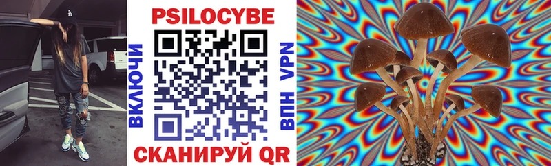 Псилоцибиновые грибы Cubensis  купить   Сосенский 